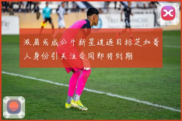 浓眉或成公牛新星追逐目标芝加哥人身份引关注合同即将到期