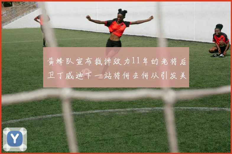 黄蜂队宣布裁掉效力11年的老将后卫丁威迪下一站将何去何从引发关注