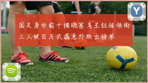 国足身价前十揭晓塞鸟王钰栋领衔三人破百万武磊意外跌出榜单