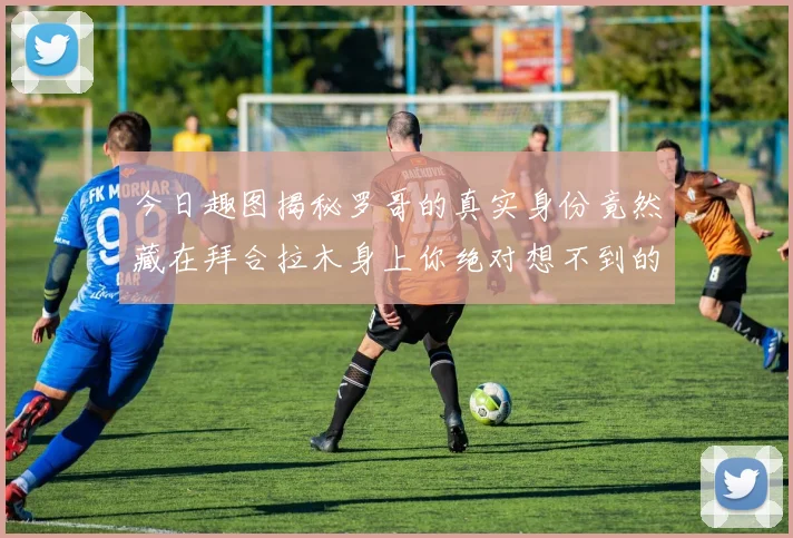 今日趣图揭秘罗哥的真实身份竟然藏在拜合拉木身上你绝对想不到的真相