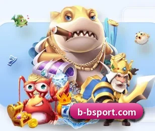 B体育的故事