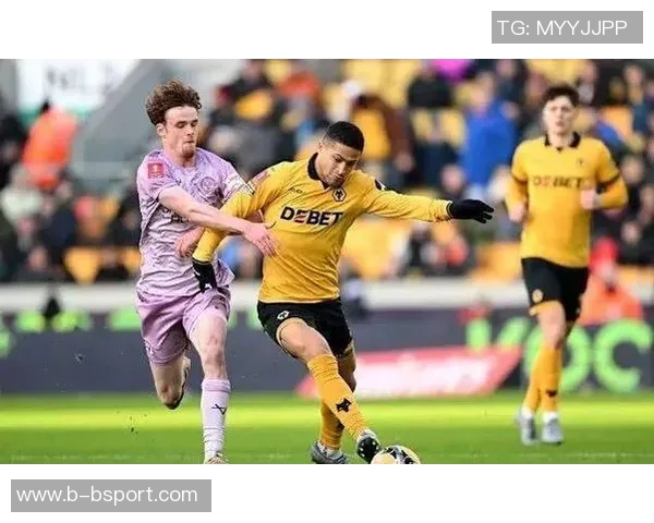 拉尔森渴望继续征战英超狼队开价4000万镑寻求转会